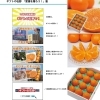 ✨TV CM放送中✨🍊紅まどんな🍊と🍊みかんの王様 南柑20号🍊❗️
