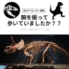 【外反母趾.足育をはじめとした足の悩みの専門院　西船橋１分】腕を振って歩きましょう