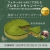 プレゼントキャンペーン「愛媛からの贈り物: 抹茶ベイクドチーズケーキプレゼントキャンペーン」