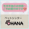 訪問ペットシッターOHANAです。年末年始のご予約受付中です🐶🎵