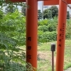 今日は高崎で探偵です。浮気調査です。【創業平成7年、調査の青葉グループ　群馬-高崎・前橋、茨城-つくば・土浦、埼玉-熊谷、千葉-松戸・柏で探偵31年の信頼と実積の青葉調査事務所】今日