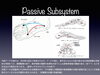 足のアーチ「足シリーズ」