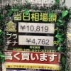 ⭐︎本日の貴金属相場⭐︎2023年12月4日(月)　貴金属買取　見積もり無料　本日金相場高騰！　壱六屋アピタ金沢文庫店