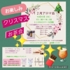 明日開催！12月アロマ会