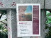 「【予約不要！お子様無料】馬頭琴ライブ☆2023年12月10日（日）14時開演☆ポラリス～馬頭琴美炎とドラムパーカッション前田仁によるユニット♪［日蓮宗妙栄院☆京成高砂駅より徒歩5分・無人お花と野菜販売所・鬼子母神・日蓮宗祈祷］」