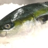 12/4【特売情報】　魚や山粋　八千代市、佐倉市の鮮魚店  　京成、東葉勝田台から徒歩10分　 