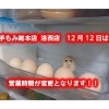 火曜日はハンジャラゲ！手もみ総本店です！！【西京区・リラクゼーション・もみほぐし・アロママッサージ・足つぼ】