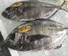 「魚魚市場鮮魚コーナーおすすめは「ギンガメアジ」です♪」