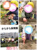 「チューリップ🌷 【交野市 小規模保育園】」