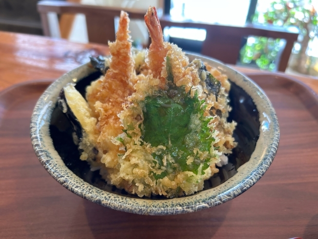 「海鮮丼、天丼人気です😍《二本松で新鮮な海鮮料理と言えばめぐみ家)」