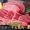 〈年内発送可能〉A5等級！鳥取和牛希少部位ミスジステーキ&焼肉セット【鳥取県日吉津村ふるさと納税】