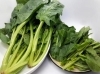 旬の食材でもあるほうれん草。栄養豊富！「冬にビタミンB群サプリをのむべき２つの理由〈八千代緑が丘 加圧トレーニングダイエットジムSTYLE〉」