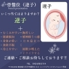 逆子とは？