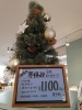 特別企画‼冬休み子供ポーセラーツ教室♡予約受付中♡「本日より予約スタートします‼」