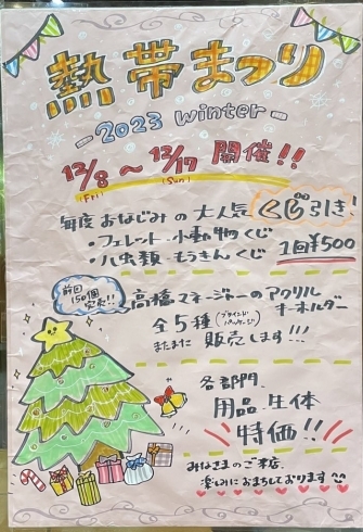 お知らせＰＯＰ「【イベント】熱帯祭り開催致します！（熱帯倶楽部東川口本店）」