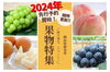 新見市ふるさと納税、2024年の果物先行予約開始！「【ふるさと納税特産品から地域の逸品を知る】来年の果物予約開始しました！！と餅特集公開中！」
