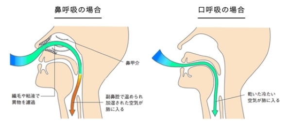（日本病巣疾患研究会より引用）「健康の基本は「鼻呼吸」」