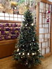 「🎄クリスマスの飾り付けをしました🎄」