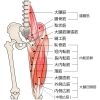 立ち上がる瞬間腰がいたい方や足が上がらない方の腰の痛み