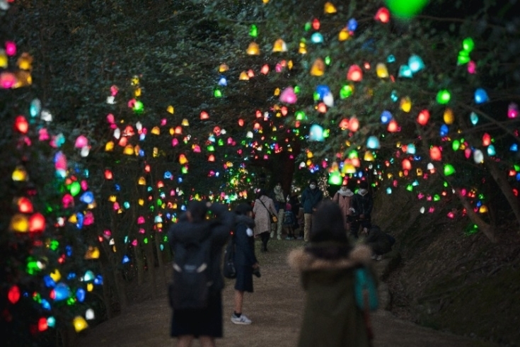 「子どもたちや観光客が果実袋に大切な人の笑顔を描き、 LEDライトを入れて道後公園内の木に飾られた『ひかりの実✨』12/15から開催♪」