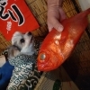 キンメ
