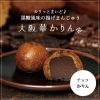 【商品情報】大阪華かりん　チョコ
