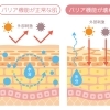 肌の乾燥対策は保湿クリームだけではありません！皮膚科からのアドバイス