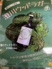 澄川ウッドラガー「澄川駅徒歩3分　万盛寿しからのお知らせです🍺」