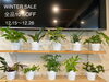 「WINTER SALEのお知らせ」