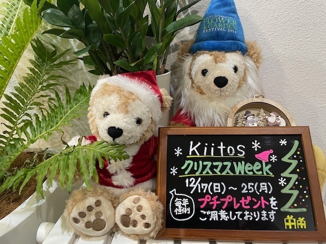 今日17日（日）から始まるクリスマスウィークです。「Kiitos川口の「クリスマス・week」 　　　　　　12月17日（日）～25日（月）」