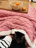 暖かいこたつと猫ちゃんとみかん。「冬のグランピング紹介するページが公開しました」