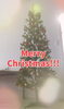 クリスマスツリー「クリスマスツリー設置動画🎄」