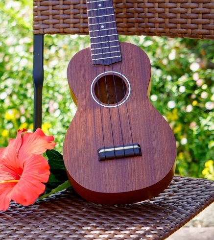 フラショー「ウクレレかギターが弾けて歌える方探しています✨✨橿原市Luana hula studioフラダンス教室」