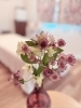 今週の上品なお花たち♡「眼を閉じて深呼吸しましょう♡【宮崎市 脳洗浄 ヘッドマッサージ 筋膜リリース よもぎ蒸し 肌育 LIHI】」