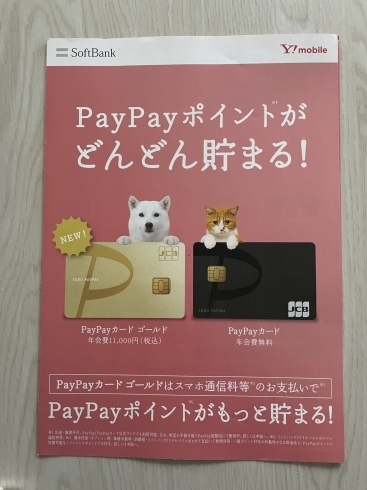 PayPayカードご紹介「PayPayカード割について！」