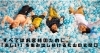 「松山市役所「ぶらり、まつやま。」にてキスケBOXを紹介頂きました。」