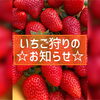 「いちごのパラム『いちご狩りのおしらせ📢』」