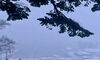 「12/17 Good morning Otaru!」