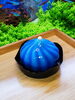 新商品【青の転生】「🍰💙 ソルシエから新しい味わいの旋風 - 「青の転生」が登場！ 🌌」