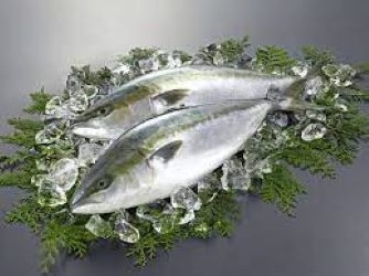 「当店で買える　12月の旬の魚　ショッパー桜川」