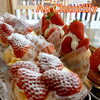 苺スイーツも続々登場🍓苺のタルト&パニエ☘️「クリスマスケーキ予約🎅本日まで受付🎄✨」