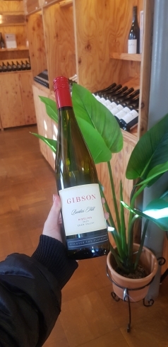 ギブソンワインのリースリング「おすすめオーストラリアワインの白ワイン」