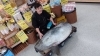 マンボウ「ショッパー桜川に、舞鶴から「マンボウ」がやってきました。」