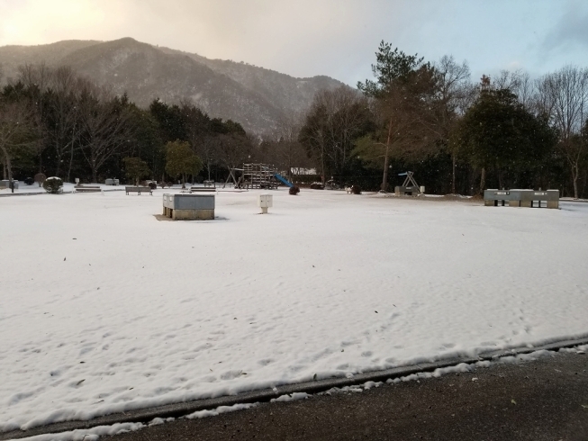 キャンプ場 区画Gあたり（17時ごろ撮影）「本日の積雪状況と年末年始の見通し」