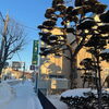 「雪がすっかり積もりました！！」