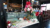 クリスマス水槽「クリスマス水槽/静岡/熱帯魚/水槽レンタル/島田市/ペットショップ/内装プロデュース」