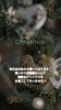 「メリークリスマス🎄✨」