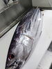 「12月27日のお刺身」