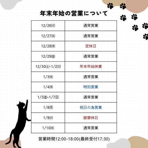年末年始の営業について【入間・武蔵藤沢・にゃんこ基地・保護猫・猫