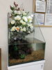 新春水槽「新春ディスプレイ/静岡/熱帯魚/水槽レンタル/島田市/ペットショップ/内装プロデュース」